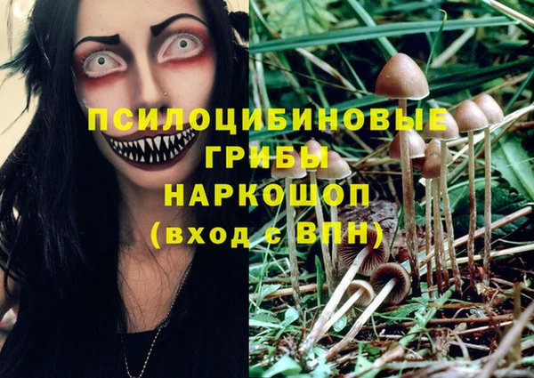 трава Абаза