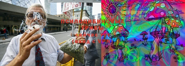 трава Абаза