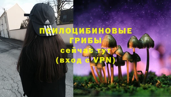 трава Абаза