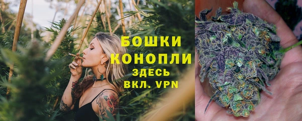 трава Абаза