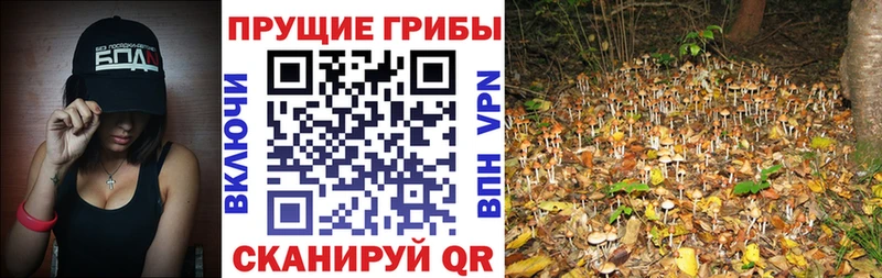 Галлюциногенные грибы мухоморы Фокино